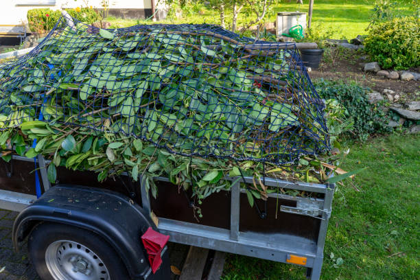 Same-Day Junk Removal Services in University At Buffalo, NY